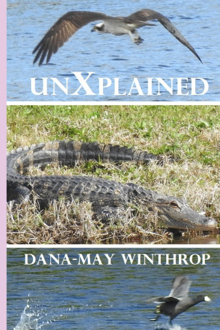 UnXplained