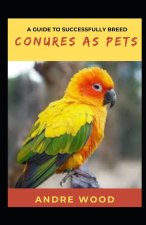 Guide To Successfully Breed Conures As Pets
