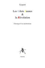 Les gilets jaunes et la revolution