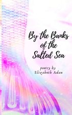 By the Banks of the Salted Sea