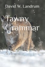 Tawny Grammar