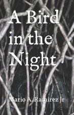 Bird in the Night