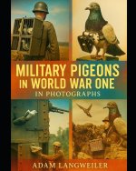Military Pigeons In World War One
