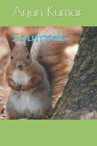 Squirrels