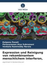 Expression und Reinigung von rekombinantem menschlichem Interferon,