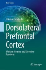 Dorsolateral Prefrontal Cortex