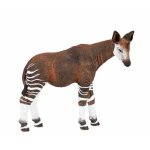 Okapi