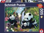 Pandafamilie am Wasserfall