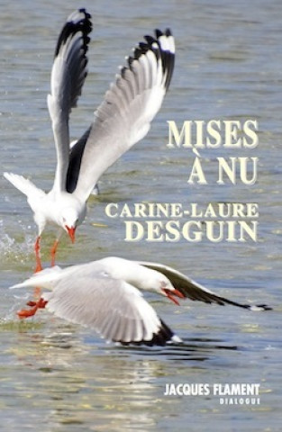 MISES À NU