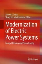 Modernization of Electric Power Systems