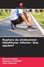 Ruptura da sindesmose tibiofibular inferior: Que opç?es?