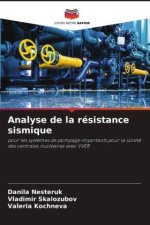 Analyse de la résistance sismique