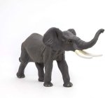Slon se zvednutým chobotem