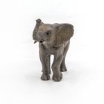 Slon mládě