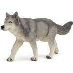 Vlk šedý