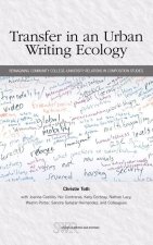 Transfer in an Urban Writing Ecology: Reimagining Community College-University Relations in Composition Studies