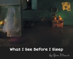 What I See Before I Sleep