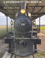 A Diamond in the Rough: How to Buy a Train