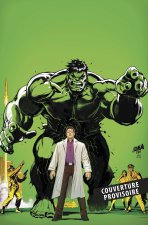 Marvel-Verse : Hulk
