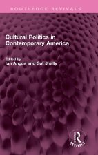 Cultural Politics in Contemporary America