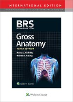 BRS Gross Anatomy