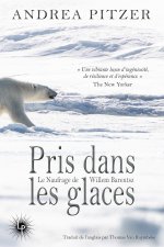 Pris dans les glaces