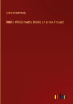 Ottilie Wildermuths Briefe an einen Freund