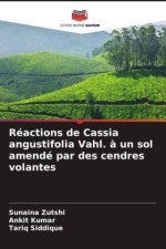 Réactions de Cassia angustifolia Vahl. ? un sol amendé par des cendres volantes