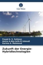 Zukunft der Energie-Hybridtechnologien