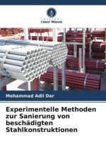 Experimentelle Methoden zur Sanierung von beschädigten Stahlkonstruktionen
