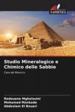Studio Mineralogico e Chimico delle Sabbie