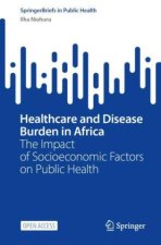 Healthcare and Disease Burden in Africa