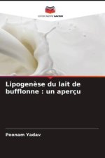 Lipogen?se du lait de bufflonne : un aperçu