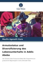 Armutsstatus und Diversifizierung des Lebensunterhalts in Addis Abeba