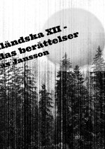 Di ?ngermanländska XII - De bortglömdas berättelser