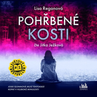 Pohďż˝benďż˝ kosti