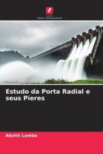 Estudo da Porta Radial e seus Píeres