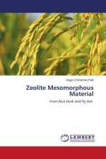 Zeolite Mesomorphous Material
