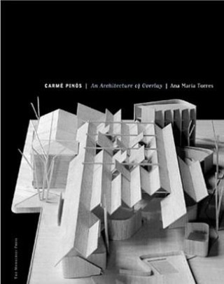 Carme Pinos: An Architecture of Overlay