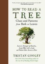 How to Read a Tree: Clues and Patterns from Bark to Leaves