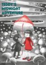 Teddy's Midnight Adventure