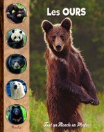 Les ours