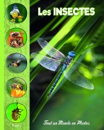 Les insectes