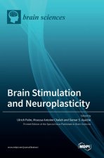 Brain Stimulation and Neuroplasticity