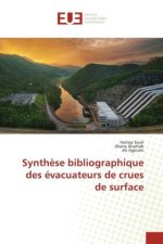 Synth?se bibliographique des évacuateurs de crues de surface