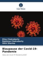 Blaupause der Covid-19-Pandemie