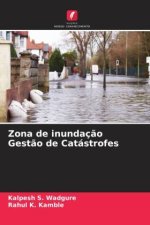 Zona de inundaç?o Gest?o de Catástrofes