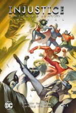 Injustice: A?o cero