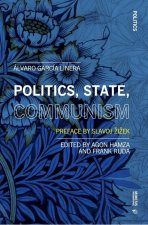 Politics, State, Communism: With an Afterword by Slavoj Zizek