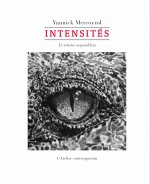 Intensités